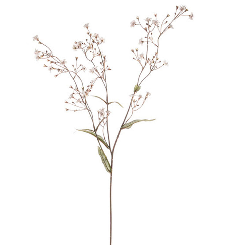 Gypsophila sprig - Cabana